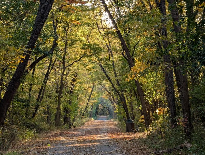 The Trail Covers 17 Miles of Stunning Elkhart County Scenery