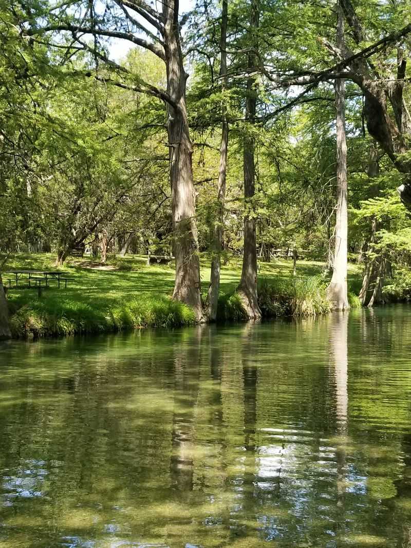 Blue Hole Regional Park: Nature's Perfect Swimming Pool