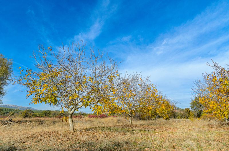 The Landscape Is The Attraction