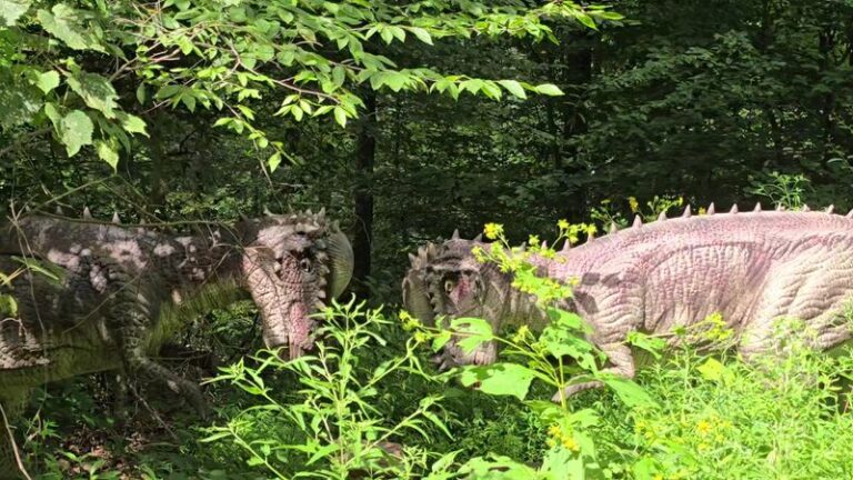 This Massive Indiana Ranch Lets You Bathe Elephants, Feed Giraffes, and ...