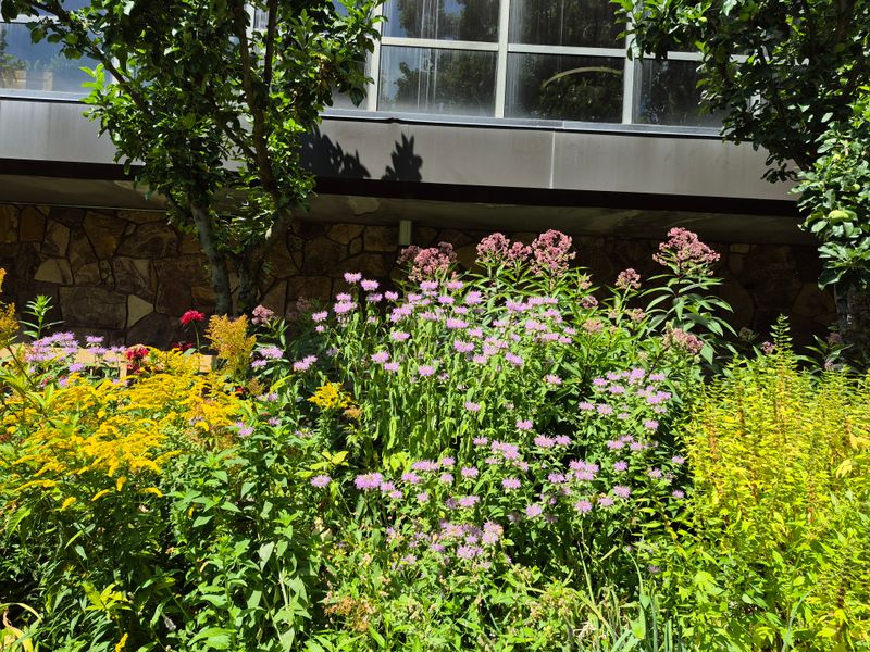 Montana Native Botanic Garden