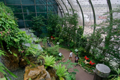 Yotel AIR guests enjoy gardens at Changi Airport Jewel. Photo c. Changi Airport Group