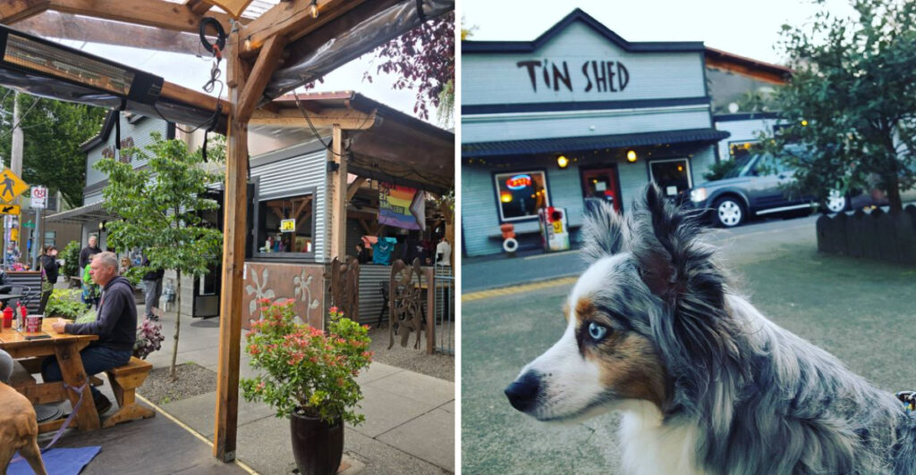locals-say-this-is-the-best-dogfriendly-spot-in-oregon-in-2026