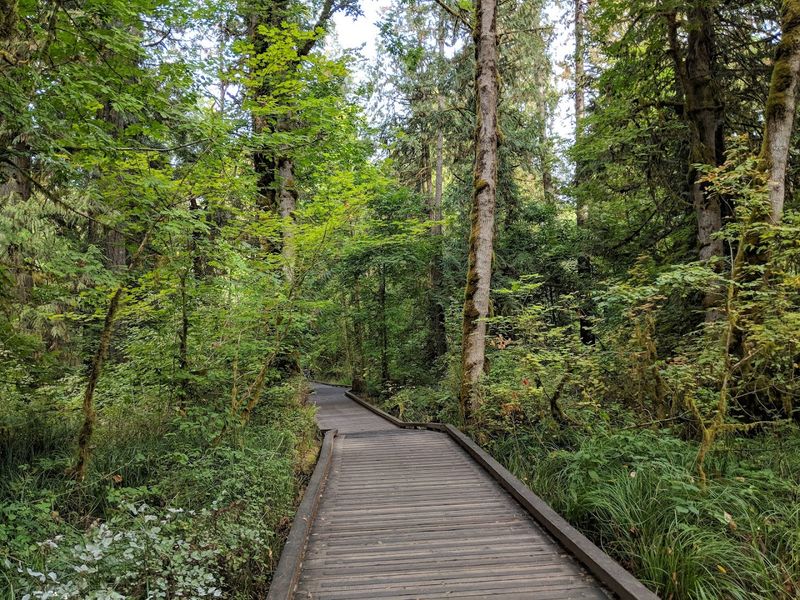 Tualatin Hills Nature Park Loop, Beaverton, Oregon