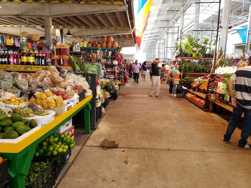 Houston Farmers Market