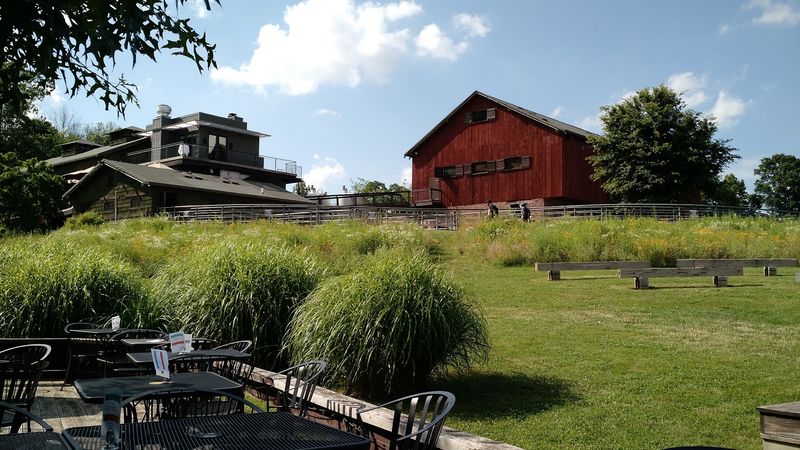 Traders Point Creamery – 9101 Moore Rd, Zionsville, IN 46077