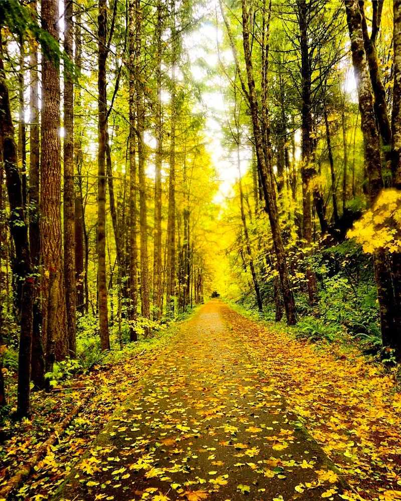Banks-Vernonia State Trail, Banks to Vernonia, Oregon