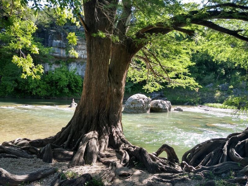 Camping Under the Texas Stars
