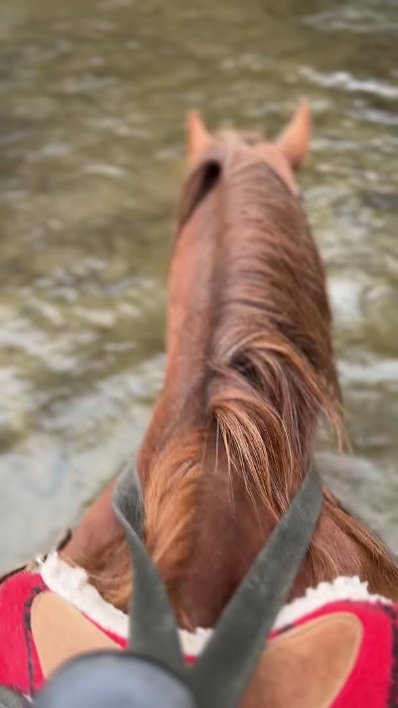 Creek Crossings and Pond Views That Make Every Ride Feel Like an Adventure