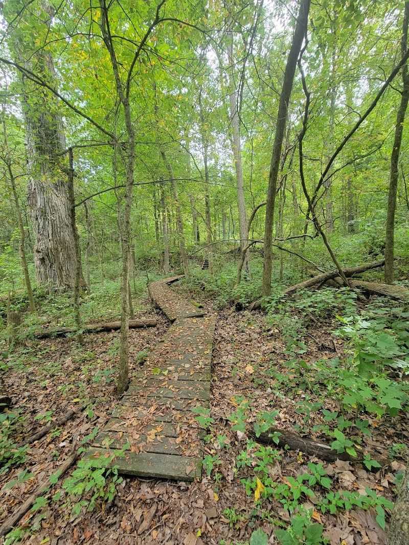 Ancient Native American Mounds Hidden in the Landscape