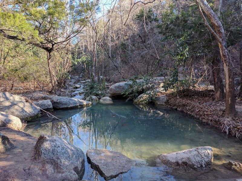 Little Fern Trail: The Quieter, Greener Side