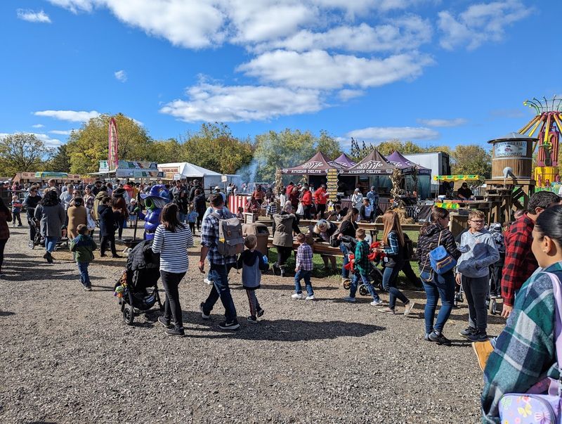 Planning Your Visit: What to Know Before You Go