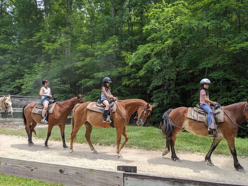 Beginner-Friendly Rides That Welcome First-Timers With Open Arms