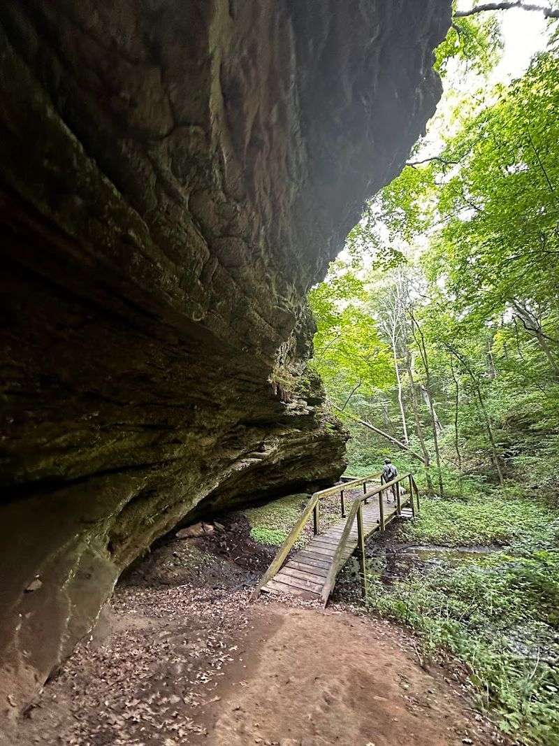 Portland Arch Nature Preserve