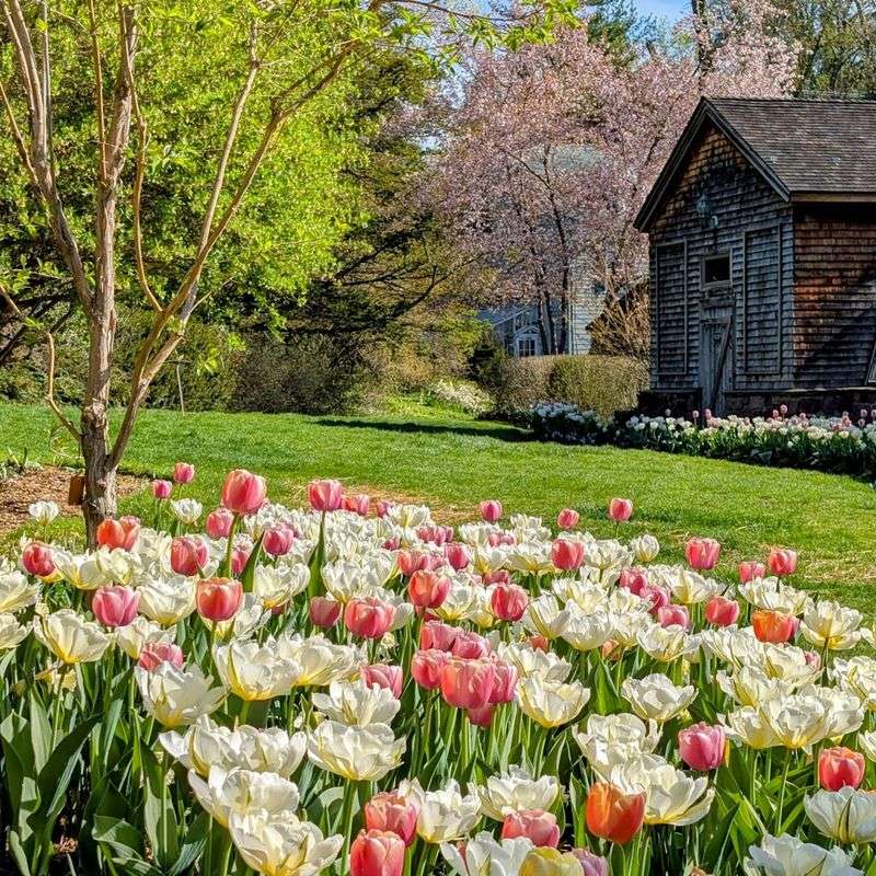 Over 3,500 Plant Species Packed Into One Stunning Location