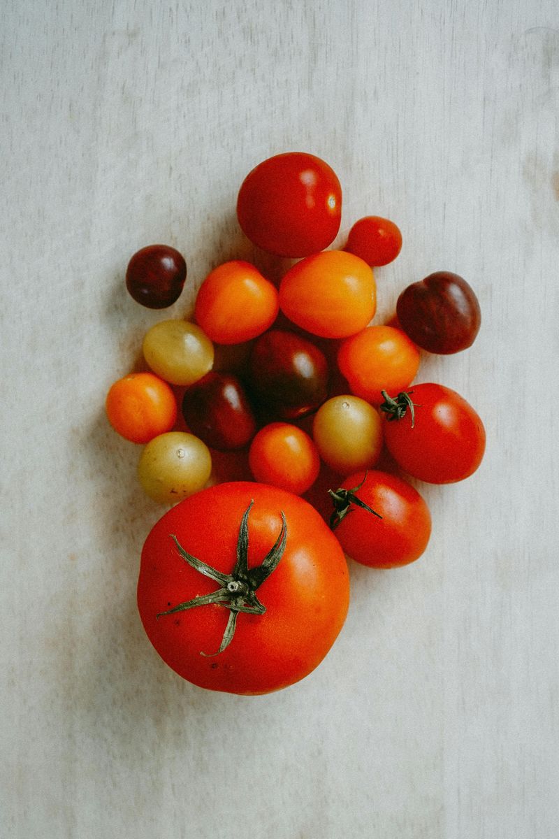 Over 40 Varieties of Tomatoes You Will Not Find Anywhere Else Nearby