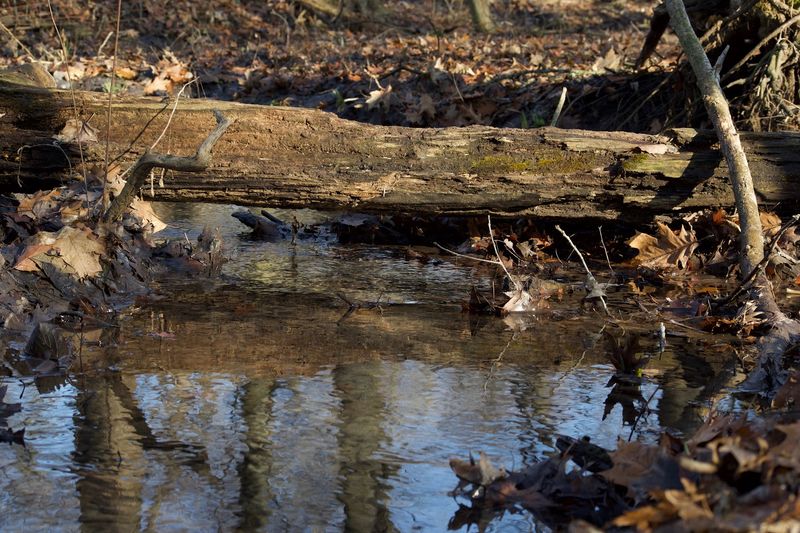 Remarkably Clear Water Thanks to a Natural Marl Bottom