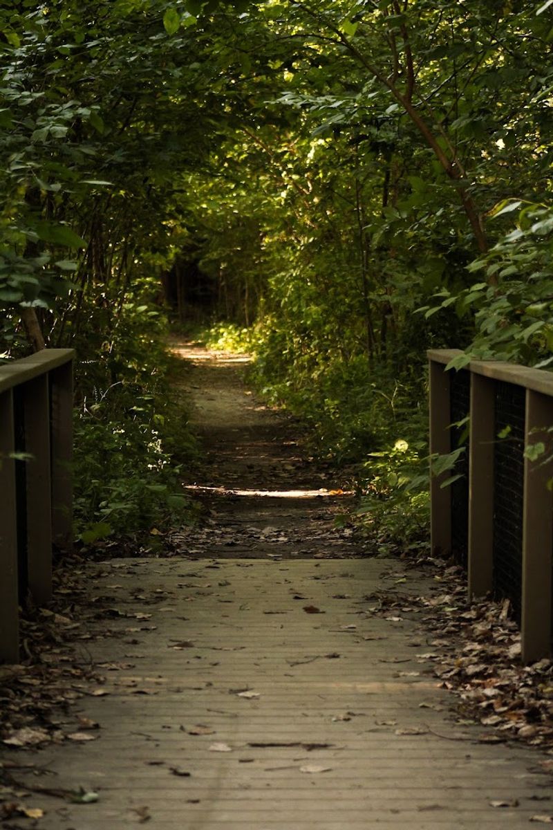 The 1.3-Mile Trail System That Rewards Every Step