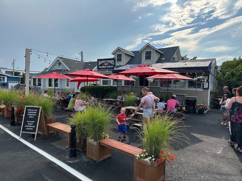 Over 50 Years of Doing One Thing Brilliantly