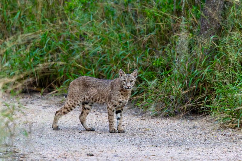 Planning Your Visit: What to Know Before You Go