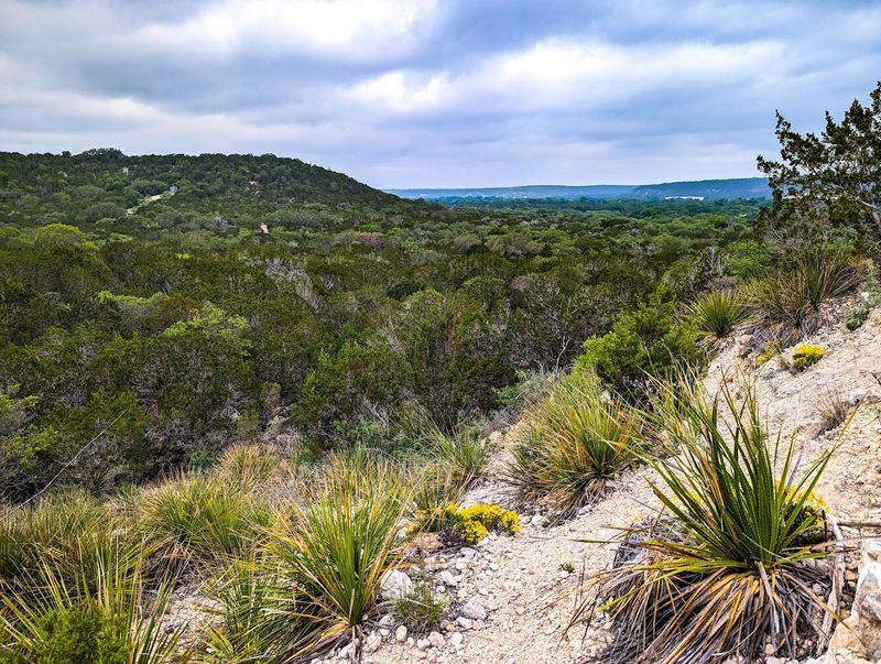 Stargazing That Actually Delivers on Its Promise