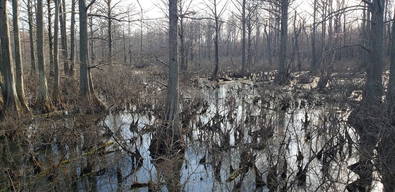 A Living Classroom for Students, Researchers, and Curious Minds