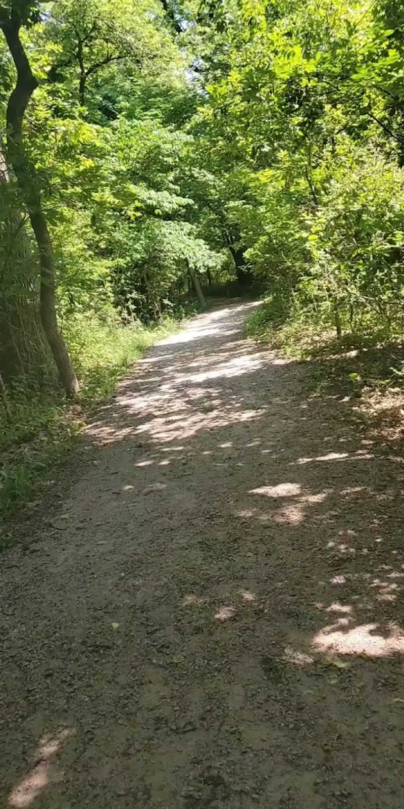 What the Trail Itself Actually Looks Like