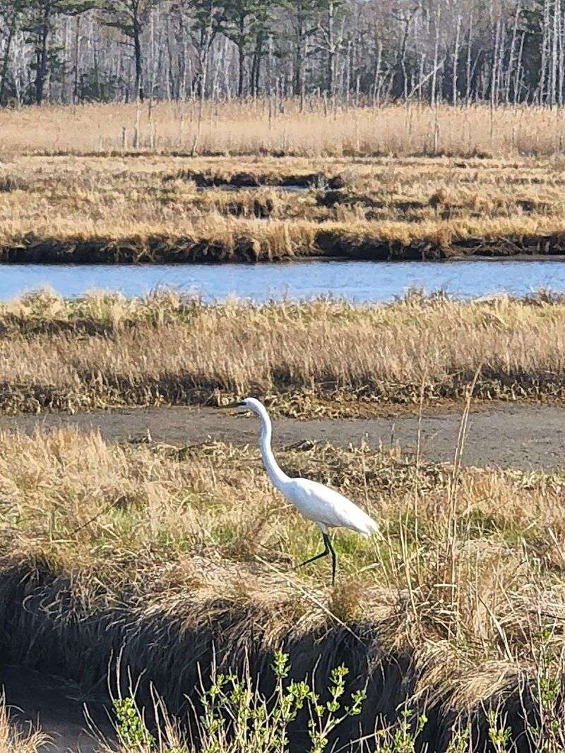 Trail Options for Every Kind of Visitor