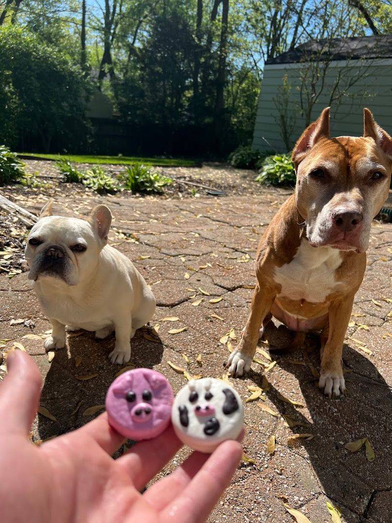 What First-Time Visitors Should Order For Their Dog