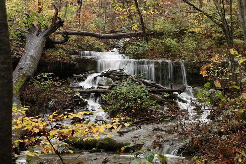 Waterfalls That Hit Different After a Good Rain