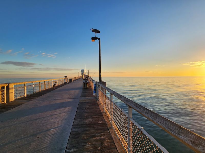 Why This Spot Feels So Classic Florida