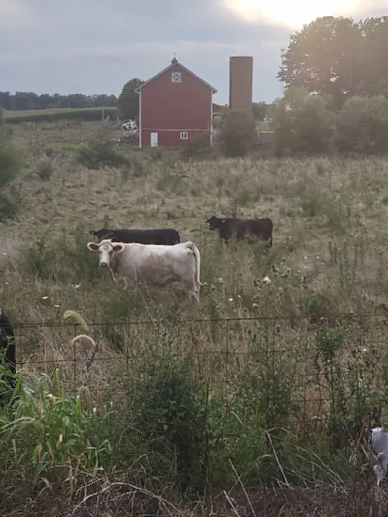 22 Miles of Smooth, Flat Trail Perfect for Every Pace