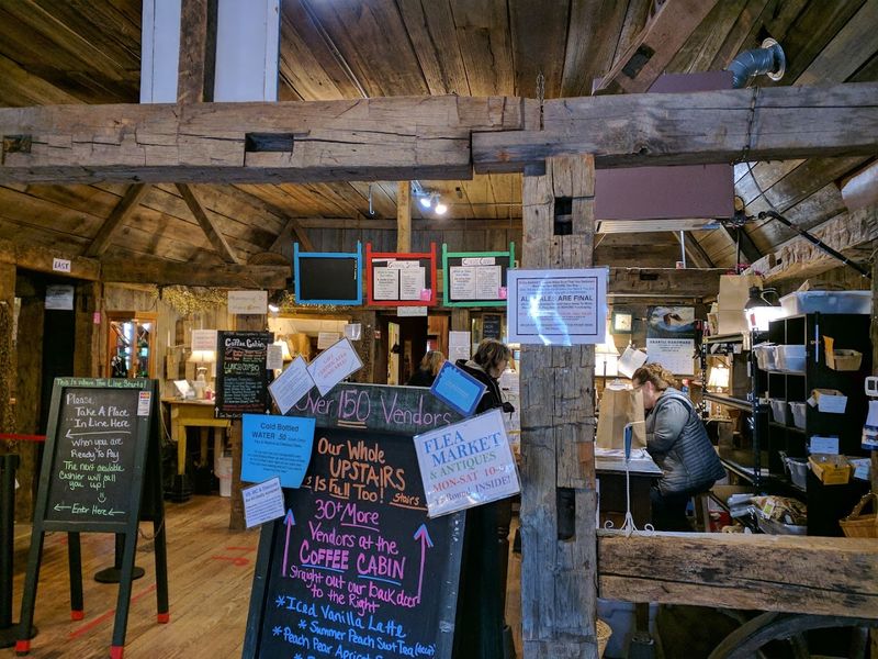 Mounted Wildlife Displays That Add a Unique, Unexpected Character