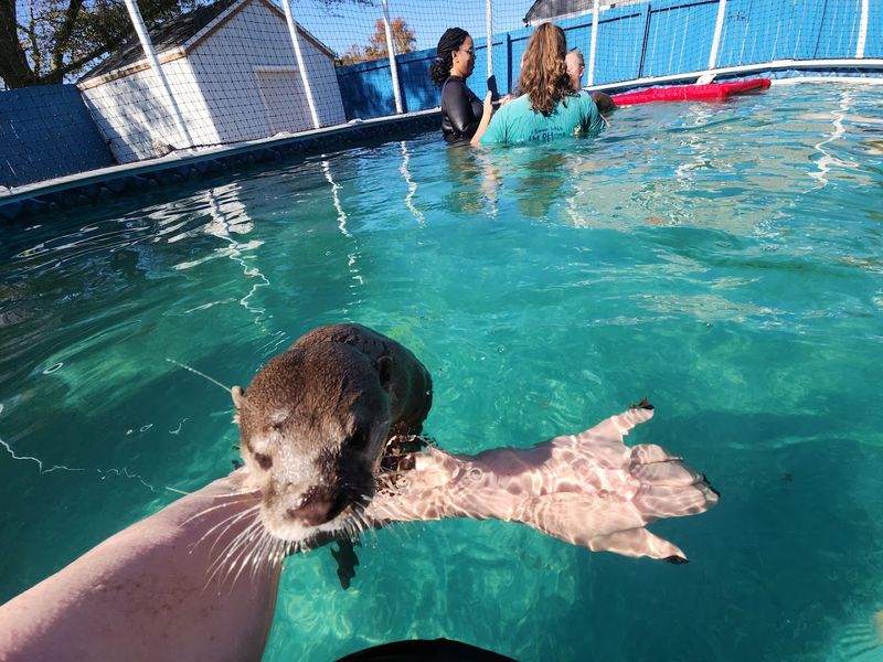 Hands-On Encounters That Keep Things Interesting