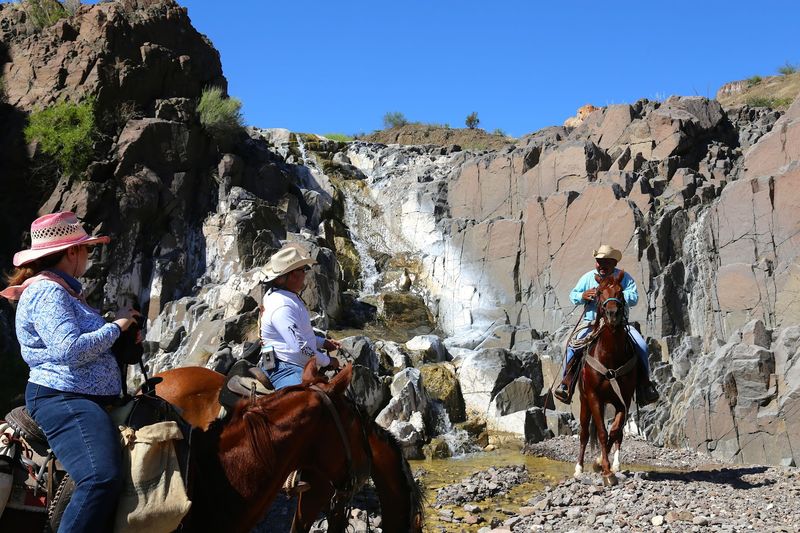 Over Three Decades of Guided Trail Riding Experience
