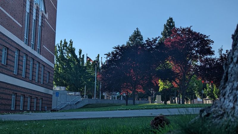 Education Options for Families and Students