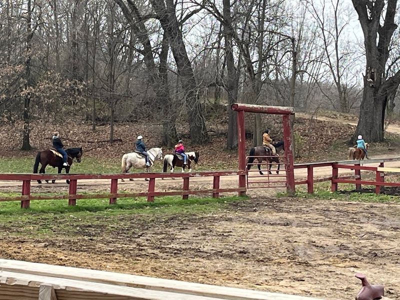 Twilight and Swim Rides That Offer Something You Cannot Find at Most Stables