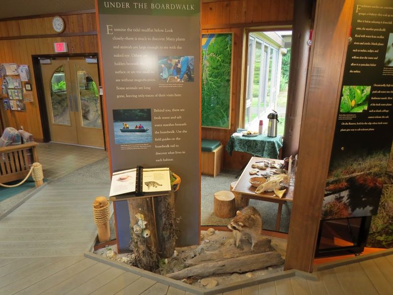 Programs, Classes, and Guided Learning