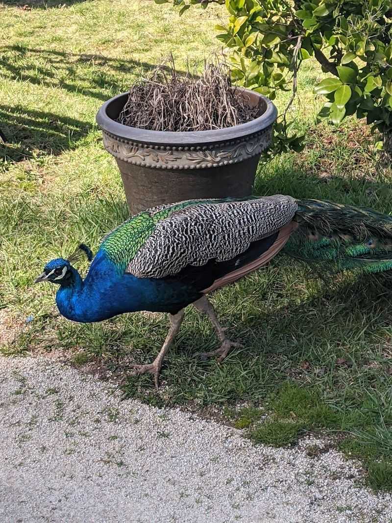 The Gift Shop and Unexpected Extras Worth Knowing About