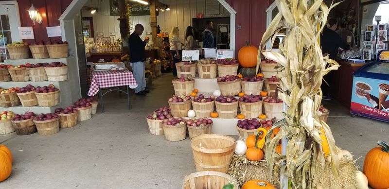 The Apple Orchards That Made Melick's Famous