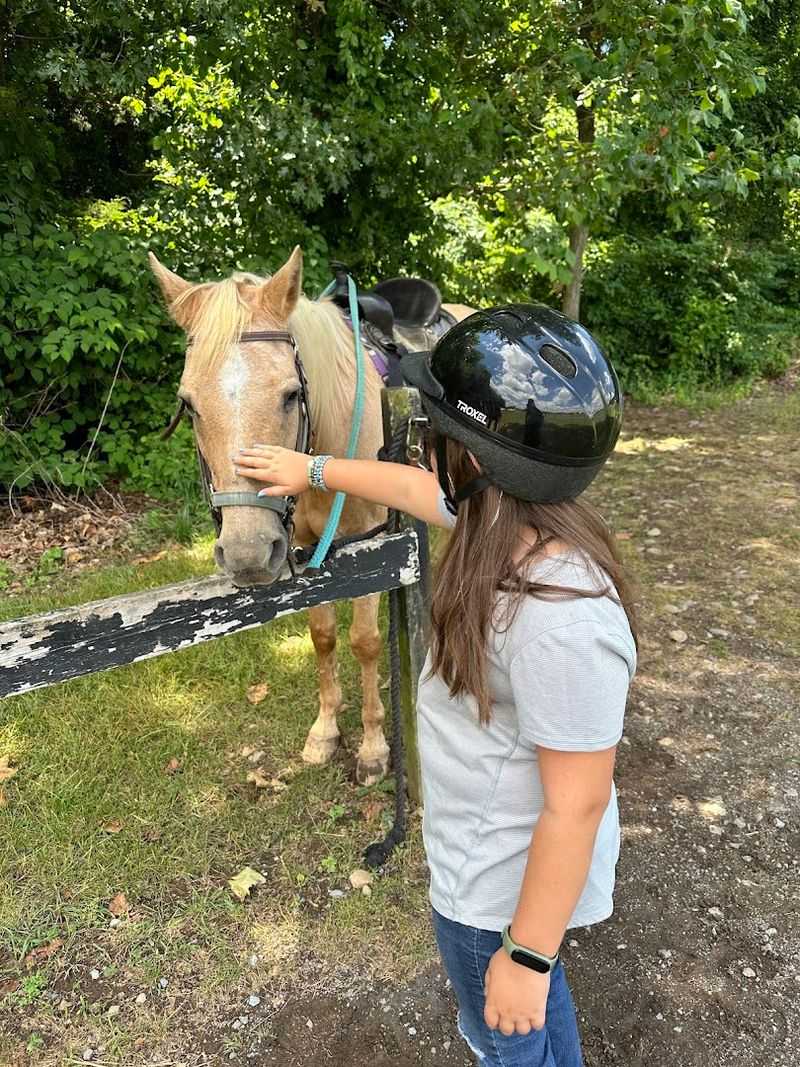 Horses That Are Loved, Not Just Worked