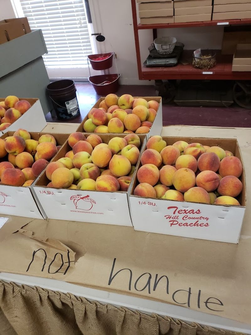 Fresh Peaches Straight From the Orchard
