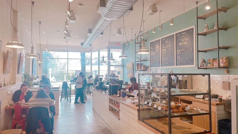 Natural Light So Good It Feels Designed by the Sun Itself