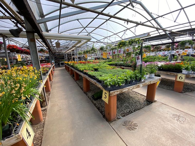 Plants, Bakery Cases, And Plenty To Browse