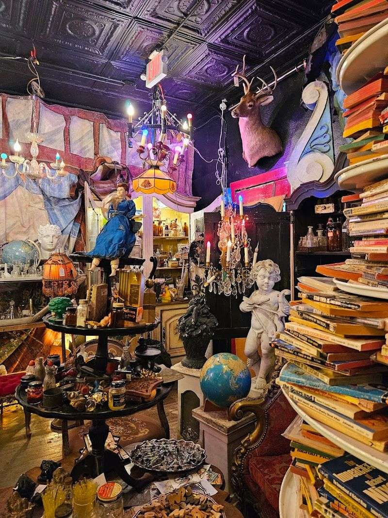 Vintage Finds, Funky Decor, And Total Visual Chaos