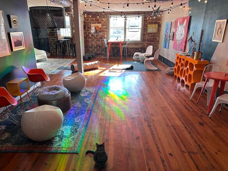 Cats, Couches, And A Space Made For Lingering