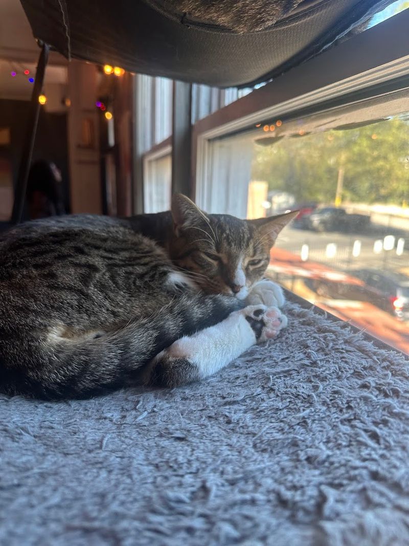 The Relaxed Atmosphere That Makes The Whole Place Work