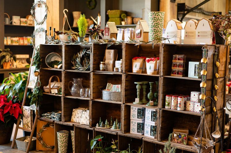 Houseplants And Home Goods That Are Hard To Leave Behind