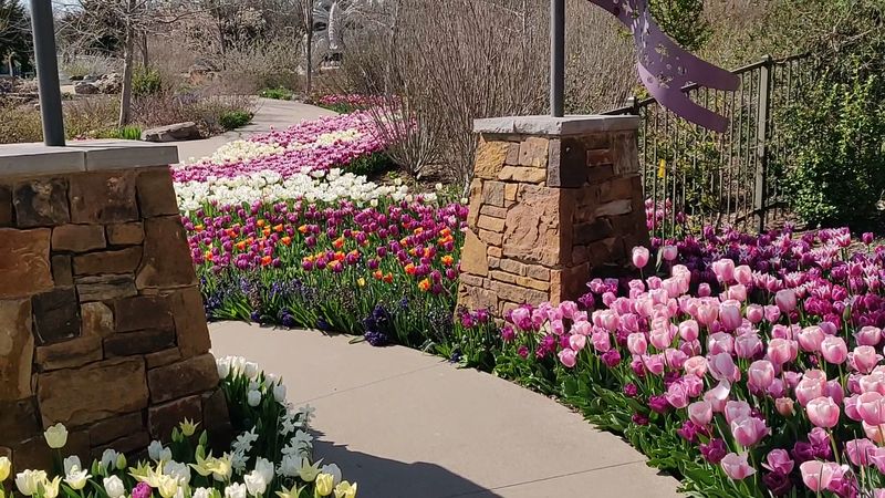 Floral Terraces That Stop You in Your Tracks