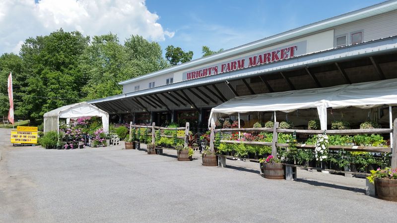 The Kind Of Farm Store That Feels Like Fall